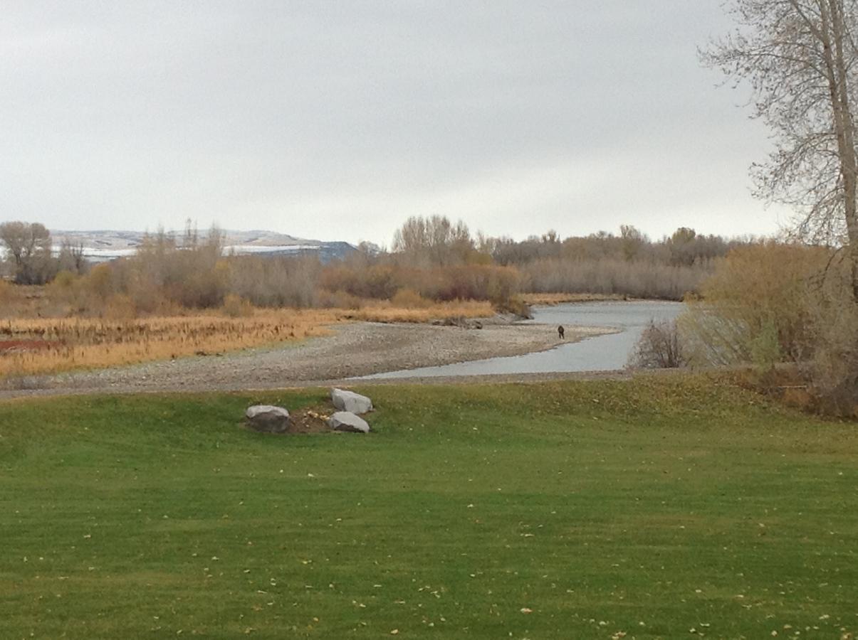 ريكسبورغ Blue Heron Inn Bed And Breakfast الغرفة الصورة